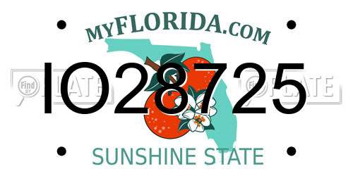IO28725 Florida License Plate