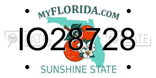 IO28728 Florida License Plate