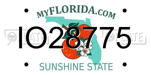 IO28775 Florida License Plate