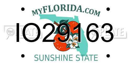 IO29163 Florida License Plate