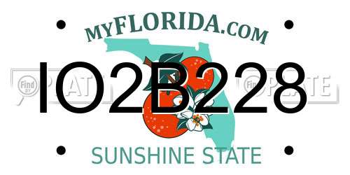 IO2B228 Florida License Plate