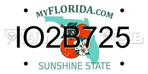 IO2B725 Florida License Plate
