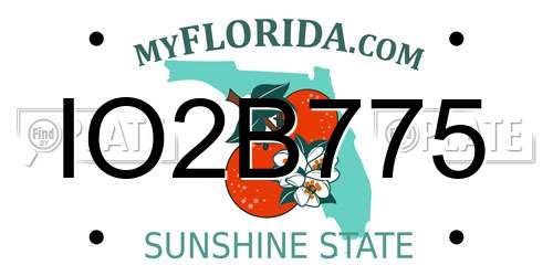 IO2B775 Florida License Plate
