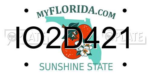 IO2D421 Florida License Plate