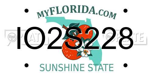 IO2S228 Florida License Plate