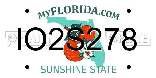 IO2S278 Florida License Plate