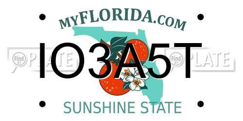 IO3A5T Florida License Plate