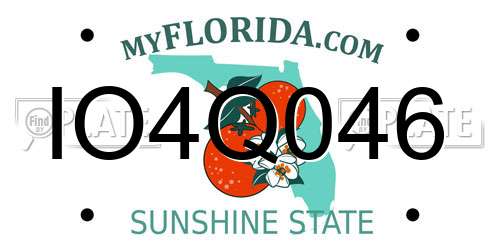 IO4Q046 Florida License Plate