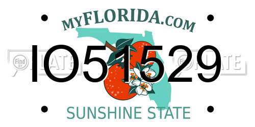 IO51529 Florida License Plate
