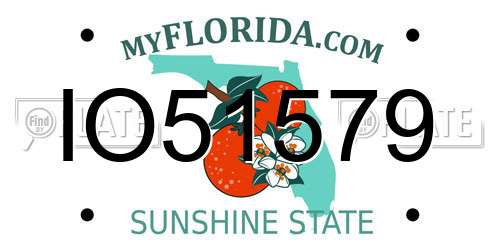 IO51579 Florida License Plate