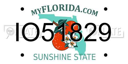 IO51829 Florida License Plate