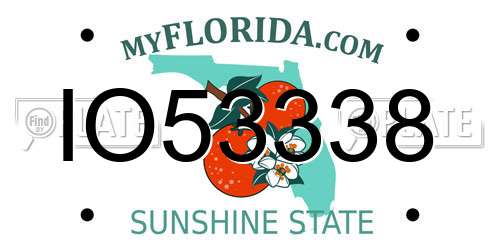 IO53338 Florida License Plate