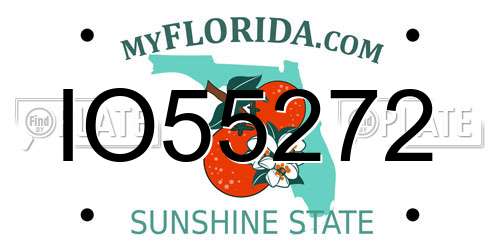 IO55272 Florida License Plate