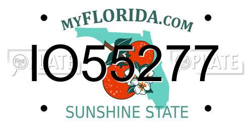 IO55277 Florida License Plate