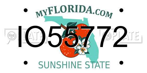 IO55772 Florida License Plate
