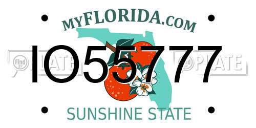 IO55777 Florida License Plate