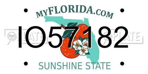 IO57182 Florida License Plate
