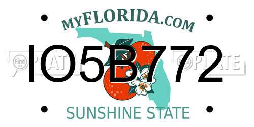 IO5B772 Florida License Plate