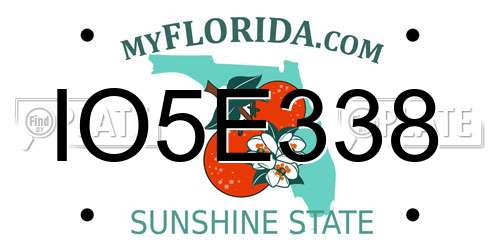 IO5E338 Florida License Plate