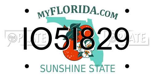 IO5I829 Florida License Plate