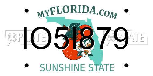 IO5I879 Florida License Plate