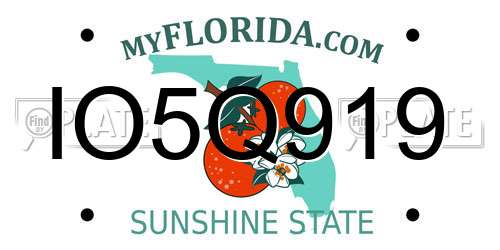 IO5Q919 Florida License Plate
