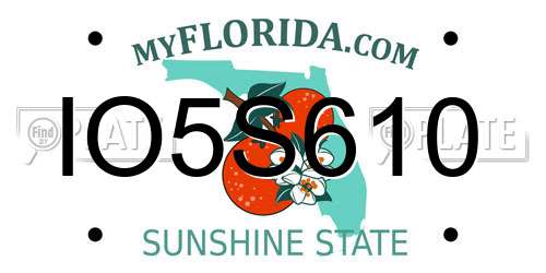 IO5S610 Florida License Plate