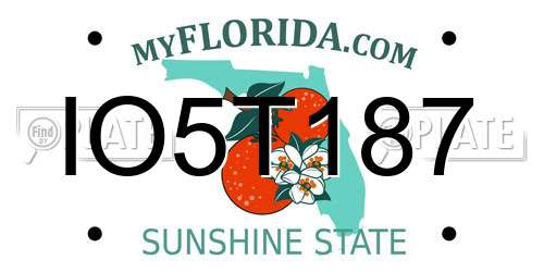 IO5T187 Florida License Plate