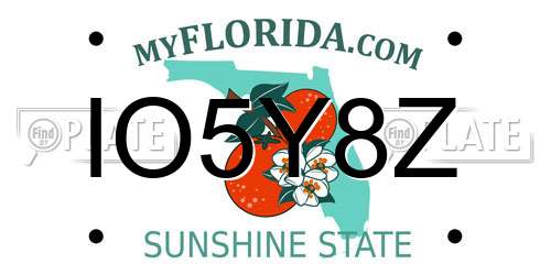 IO5Y8Z Florida License Plate