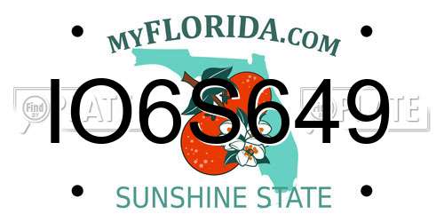 IO6S649 Florida License Plate