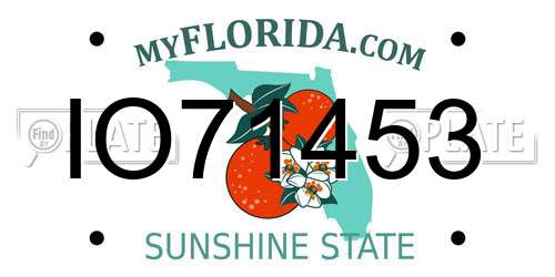 IO71453 Florida License Plate