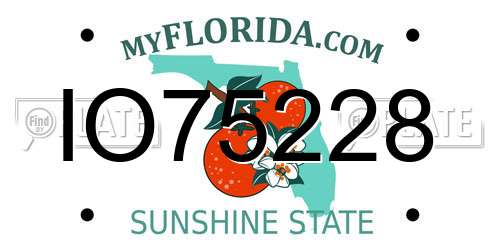 IO75228 Florida License Plate