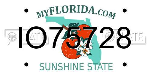IO75728 Florida License Plate