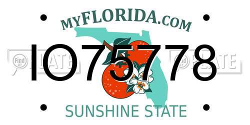 IO75778 Florida License Plate