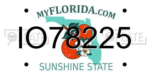 IO78225 Florida License Plate