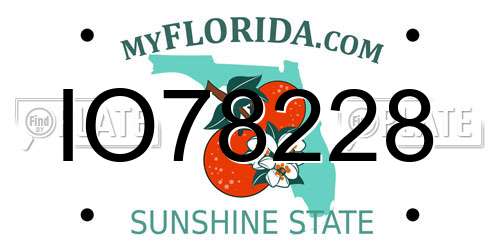IO78228 Florida License Plate