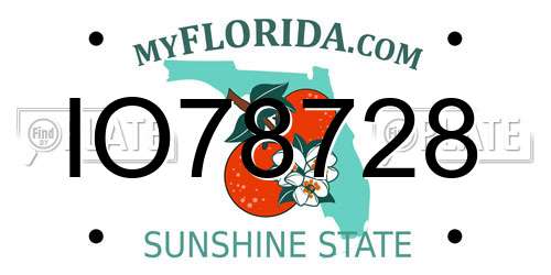 IO78728 Florida License Plate
