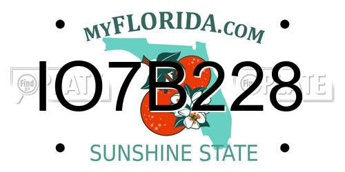 IO7B228 Florida License Plate