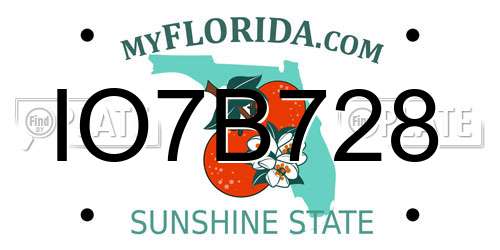 IO7B728 Florida License Plate