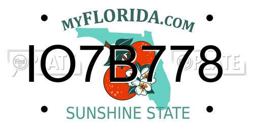 IO7B778 Florida License Plate
