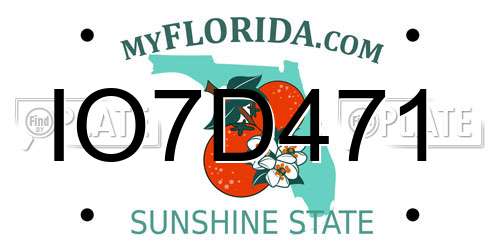 IO7D471 Florida License Plate