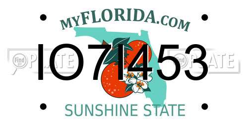 IO7I453 Florida License Plate