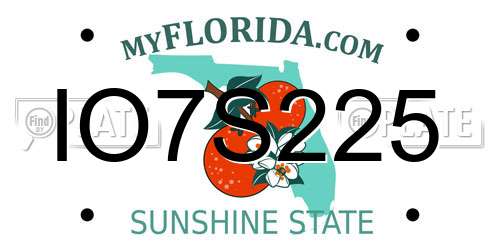 IO7S225 Florida License Plate