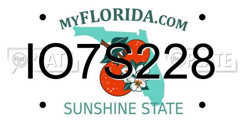 IO7S228 Florida License Plate