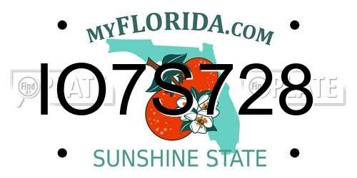 IO7S728 Florida License Plate
