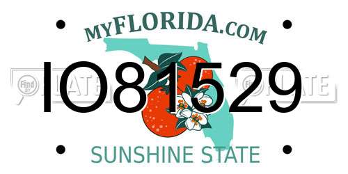 IO81529 Florida License Plate