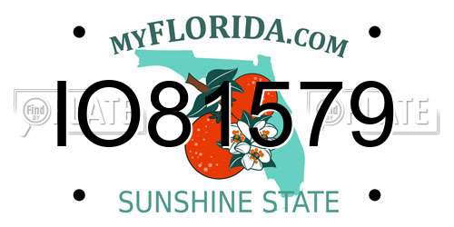 IO81579 Florida License Plate