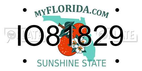IO81829 Florida License Plate