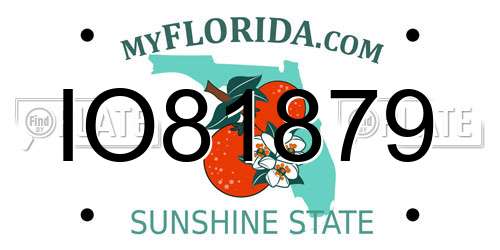 IO81879 Florida License Plate