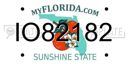 IO82182 Florida License Plate